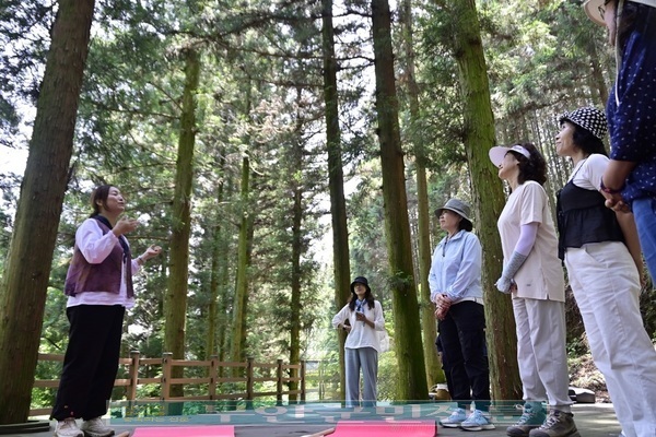 치유의 숲 활동사진