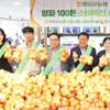 무안군, 양파 소비촉진 위해 수도권 직거래 확대