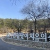 무안 물맞이 치유의 숲, 3월 20일부터 치유 프로그램 본격 운영