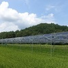 전남도, 영농형 태양광 발전사업 특별법안 발의 환영