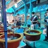 금어기 맞아 수산물 원산지 표시 특별점검