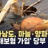 무안군,양파·마늘 ‘농작물 안전보험’ 가입보험료 90%지원