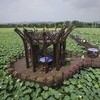 매주 회산백련지에서 버스킹 향연